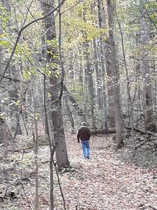 Man walking in a Michigan woods during Autumn