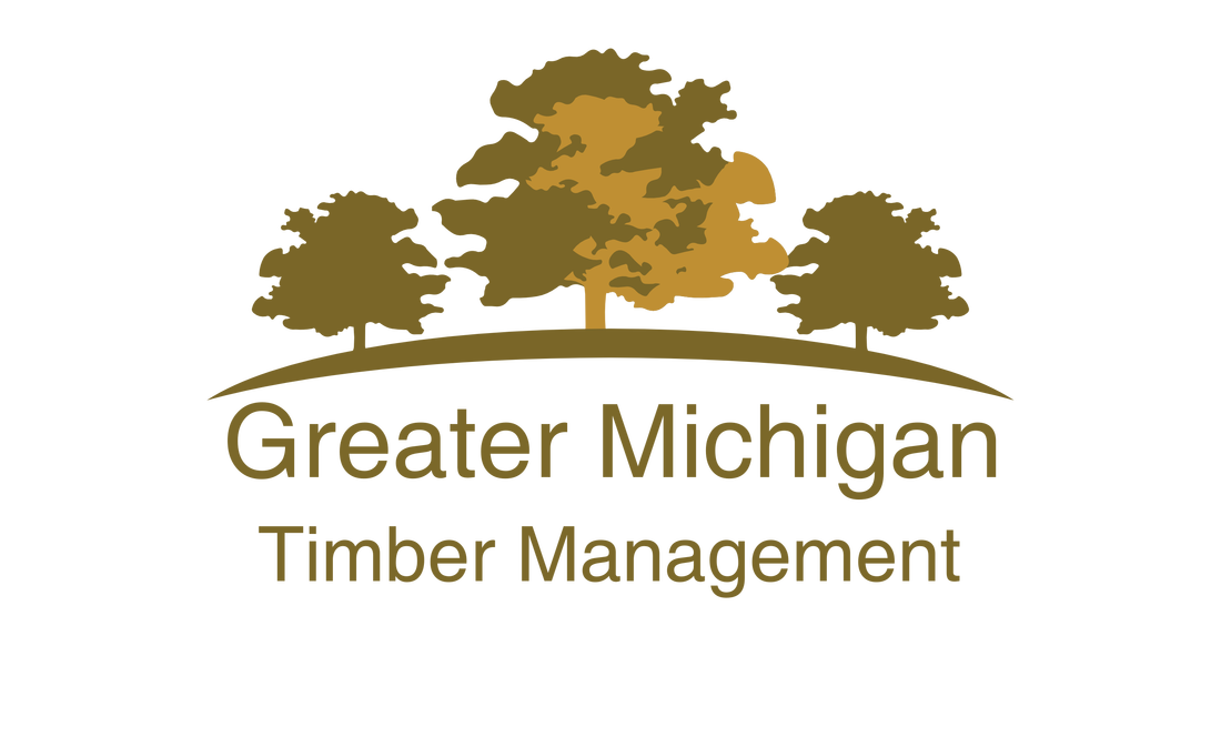 Logo for Greater Michigan Timber Management, buyers of standing timber