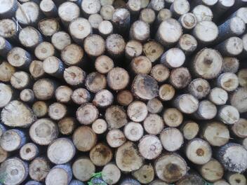 stack of michigan pallet wood